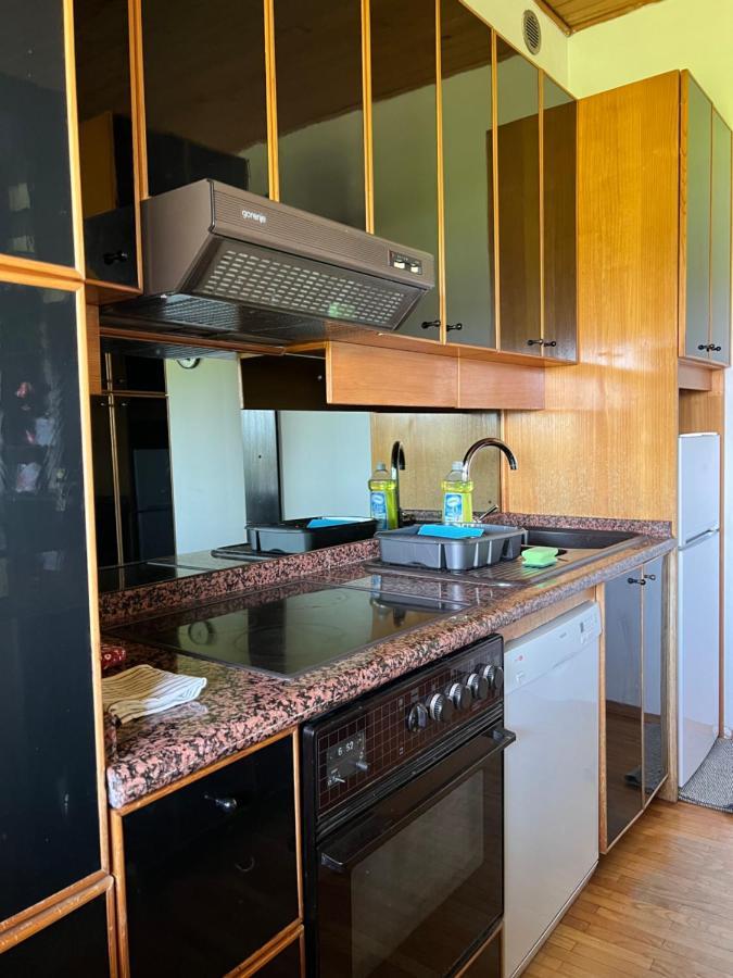 Apartment In Ljubljana Dış mekan fotoğraf